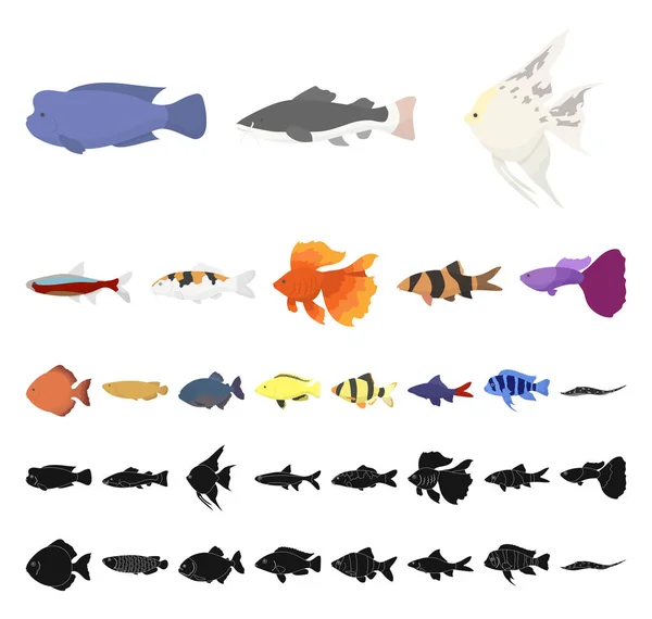 Διαφορετικοί τύποι ψαριών εικονίδια γελοιογραφία, μαύρο σετ συλλογής για το σχεδιασμό. Θαλάσσιο και το ενυδρείο ψάρια σύμβολο μετοχής web εικονογράφηση φορέα. — Διανυσματικό Αρχείο