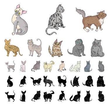 Doğurmak-in cats karikatür, set koleksiyonu tasarım için siyah simgeler. Evde beslenen hayvan kedi vektör simge stok web çizim.