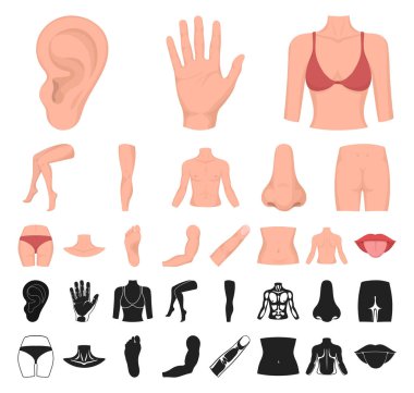 Vücut, bacak çizgi film, set koleksiyonu tasarım için siyah simgeleri parçası. İnsan anatomisi vektör simge stok web çizimi.