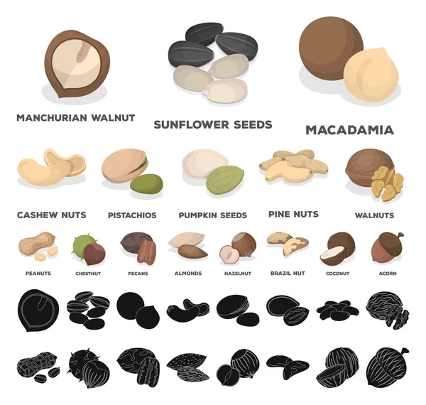 Diferentes tipos de porcas desenhos animados, ícones pretos na coleção de conjuntos para design.Nut Food vector symbol stock web illustration . — Vetor de Stock