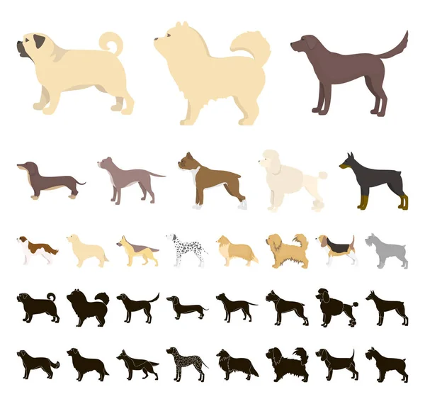 Perro razas de dibujos animados, iconos negros en la colección de conjuntos para design.Dog mascota vector símbolo stock web ilustración . — Vector de stock