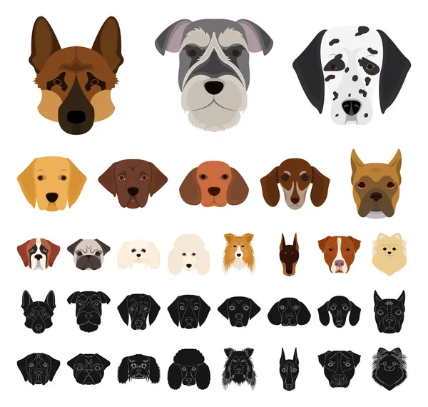 Hundraser, svart tecknad ikoner i set samling för design. Mynningen på en hund vektor symbol lager web illustration. — Stock vektor