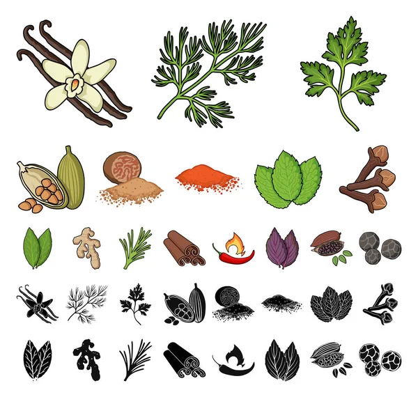 Desenhos animados de ervas e especiarias, ícones pretos na coleção de conjuntos para design.Different tipos de seasonings símbolo vetorial ilustração web . — Vetor de Stock