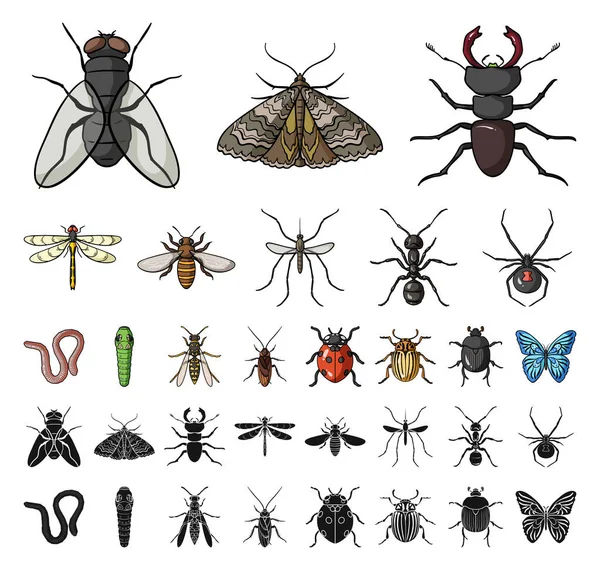 Különféle rovarok rajzfilm, fekete ikonok beállítása gyűjtemény a design. Rovar, ízeltlábú vektor szimbólum állomány honlap illusztráció. — Stock Vector