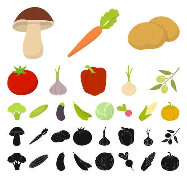 Diferentes tipos de vegetais desenhos animados, ícones pretos na coleção de conjuntos para design. Vegetais e vitaminas símbolo vetorial web ilustração . — Vetor de Stock