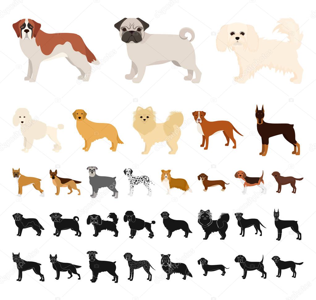 Dog breeds cartoon, black icons in set collection for design.Dog pet vector symbol stock  illustration.