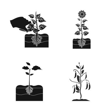 Bitki ve fasulye işareti yalıtılmış nesne. Hisse senedi için bitki ve işlem vektör simge topluluğu.