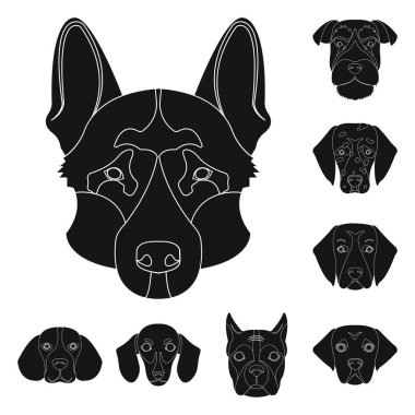 Sevimli vektör tasarımı ve köpek yavrusu oturum açın. Şirin ve hayvan hisse senedi simgesi için web topluluğu.