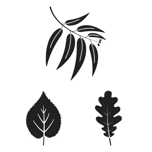 Diseño vectorial de logotipo vegano y orgánico. Colección de vegano y fresco símbolo de stock para la web . — Vector de stock