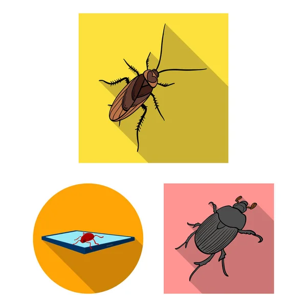 Vector illustration of insect and beetle sign. Set of insect and halloween vector icon for stock. — Stock Vector