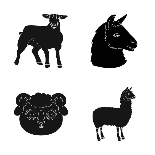 Vector design of sheep and goat sign. Set of sheep and happy  stock vector illustration. — Stock Vector