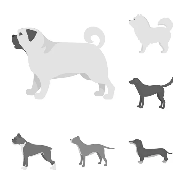 Objeto aislado del logotipo lindo y cachorro. Conjunto de icono de vector lindo y animal para la acción . — Vector de stock