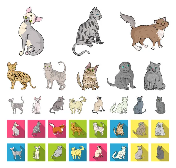 Razas de gatos de dibujos animados, iconos planos en la colección de conjuntos para el diseño. Mascota gato vector símbolo stock web ilustración . — Archivo Imágenes Vectoriales