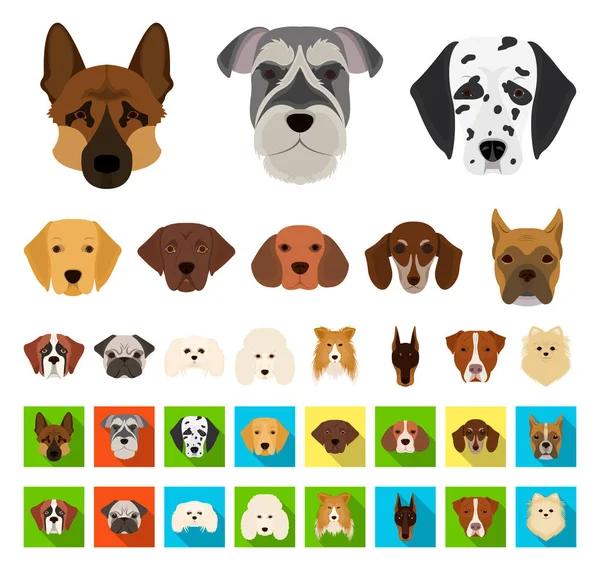 Perro razas de dibujos animados, iconos planos en la colección de conjuntos para design.Muzzle de un perro vector símbolo stock web ilustración . — Vector de stock