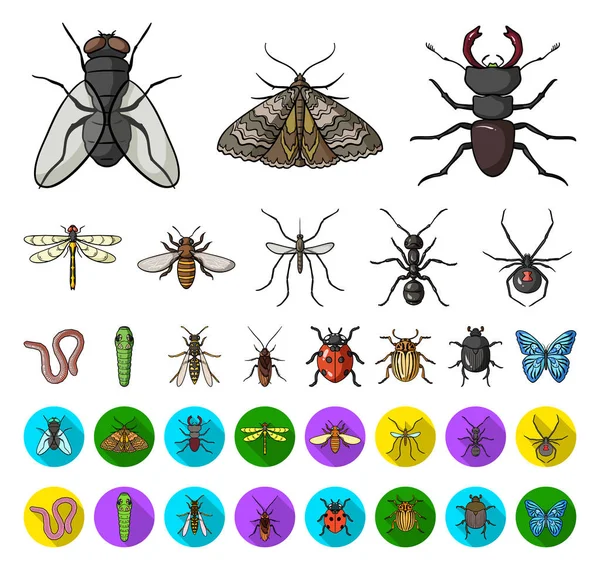 Different kinds of insects cartoon,flat icons in set collection for design. Insect arthropod vector symbol stock web illustration. — Stock Vector