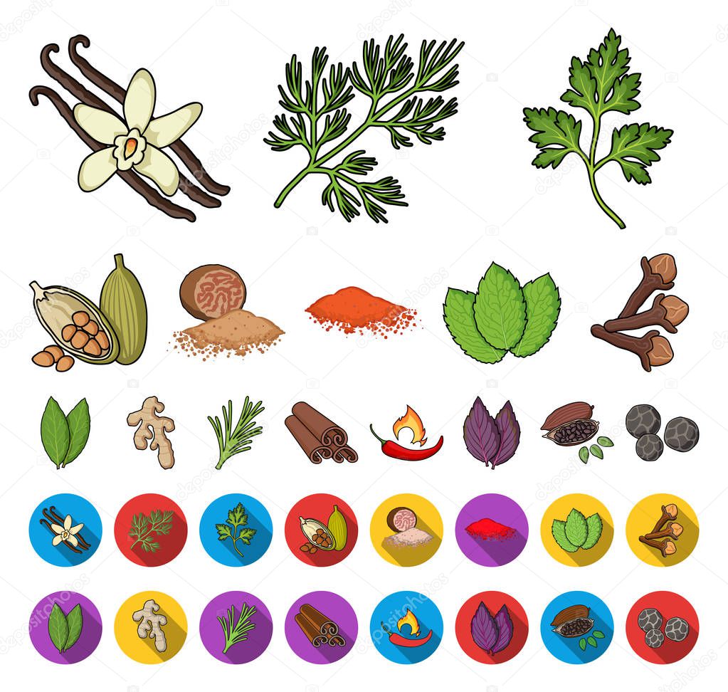 Herb and spices cartoon,flat icons in set collection for design.Different kinds of seasonings vector symbol stock  illustration.