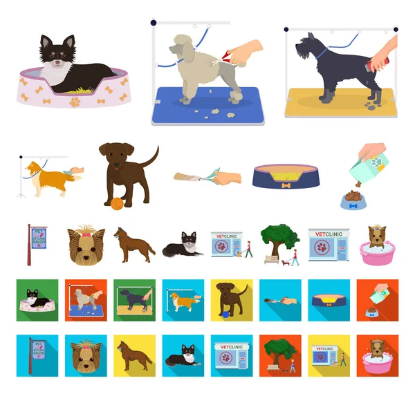 Desenhos animados para animais de estimação, ícones planos na coleção de conjuntos para design. Cuidados e educação símbolo vetor web ilustração . —  Vetores de Stock