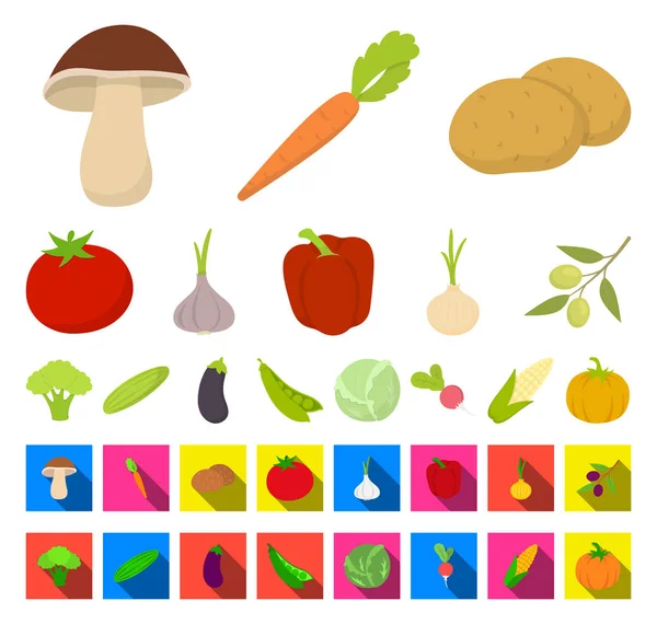 Verschillende soorten groenten cartoon, plat pictogrammen in set collectie voor design. Groenten en vitaminen vector symbool voorraad web illustratie. — Stockvector