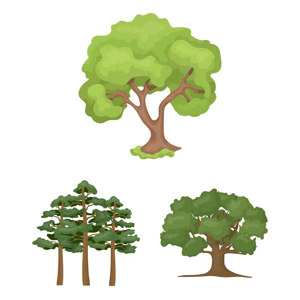 Vector illustration of tree  and forest sign. Set of tree  and green stock vector illustration. — Stock Vector