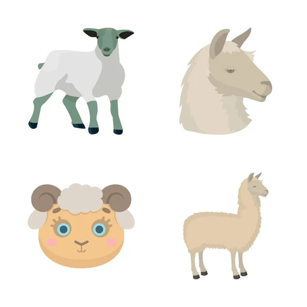 Isolated object of sheep and goat sign. Collection of sheep and happy  vector icon for stock. — Stock Vector