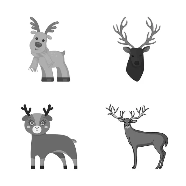 Isolated object of elk and head logo. Collection of elk and stag stock symbol for web. — Stock Vector
