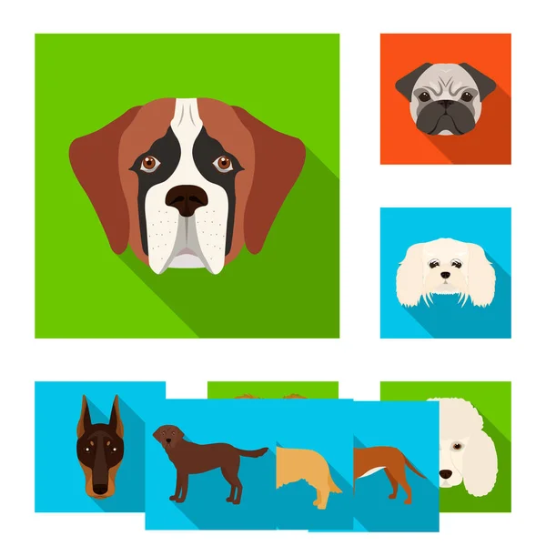 Isolated object of cute and puppy sign. Collection of cute and animal stock symbol for web. — Stock Vector