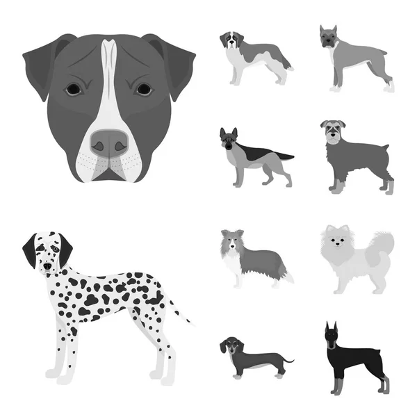 Vector illustration of cute and puppy symbol. Set of cute and animal stock symbol for web. — Stock Vector