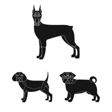Sevimli vektör tasarımı ve kutsal kişilerin resmi. Web şirin ve hisse senedi simgesi kümesi.