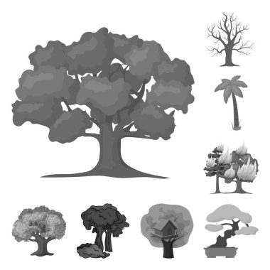 Bir ağaç ve orman işaret illüstrasyon vektör. Ağaç ve yeşil hisse senedi simgesi için web topluluğu.