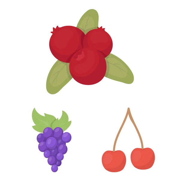 Diseño vectorial del logotipo de bayas y frutas. Conjunto de bayas y arándanos rojos para web . — Vector de stock