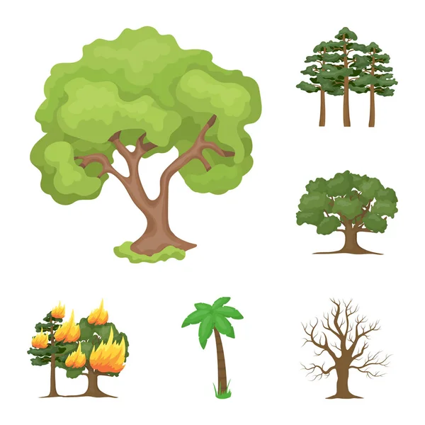 Vector illustration of tree  and forest icon. Set of tree  and green stock vector illustration. — Stock Vector
