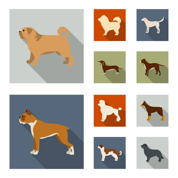 Design vetorial do ícone bonito e filhote de cachorro. Conjunto de bonito e animal símbolo de estoque para web . — Vetor de Stock