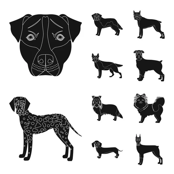 Objeto aislado de símbolo lindo y cachorro. Colección de lindo y animal stock vector ilustración . — Vector de stock