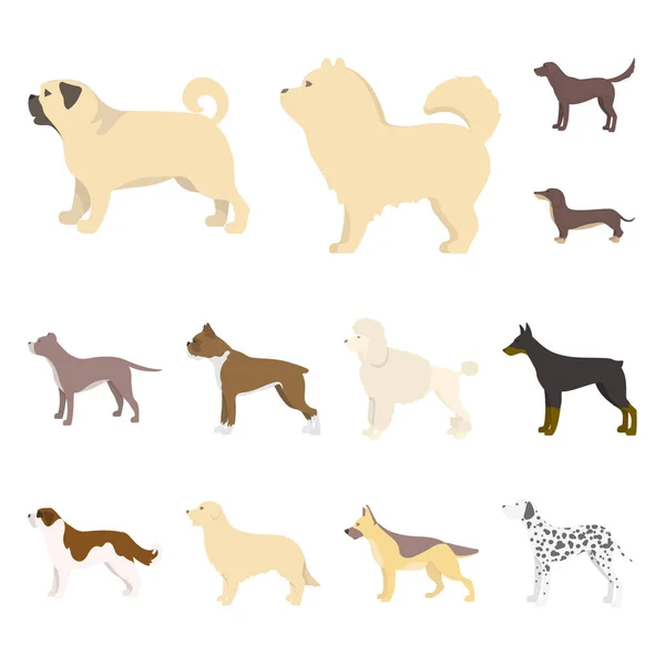 Ilustración vectorial de lindo y cachorro icono. Colección de lindo y animal símbolo de stock para la web . — Vector de stock