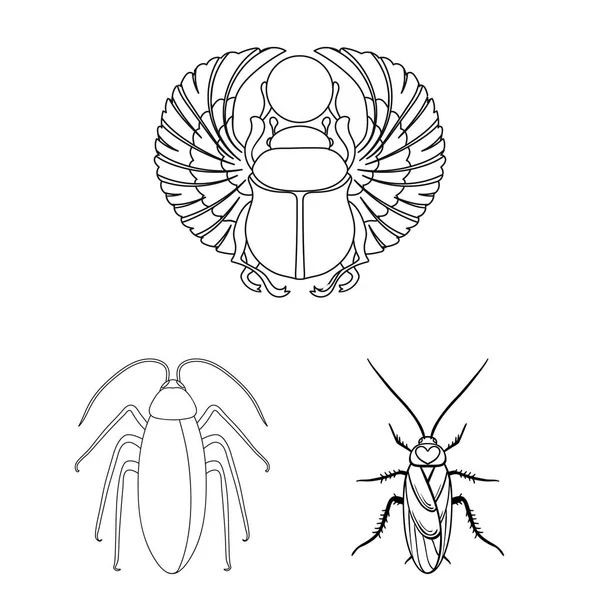 Изолированный объект со значком насекомого и жука. Набор векторных иллюстраций насекомых и Хэллоуина . — стоковый вектор