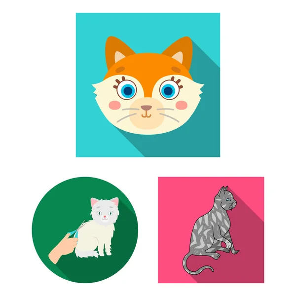 Design vetorial de pet e esfinge ícone. Conjunto de animais de estimação e diversão ilustração vetor estoque . —  Vetores de Stock