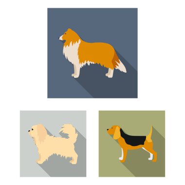 Sevimli vektör tasarımı ve köpek yavrusu simgesi. Şirin ve hayvan hisse senedi simgesi için web topluluğu.