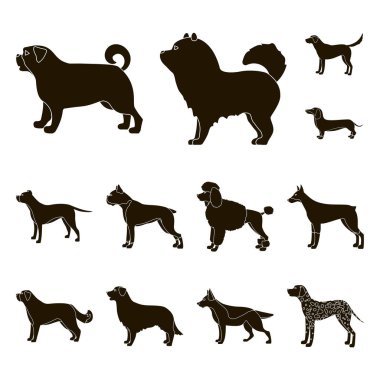 Sevimli vektör tasarımı ve köpek yavrusu sembolü. Şirin ve hayvan hisse senedi vektör çizim seti.