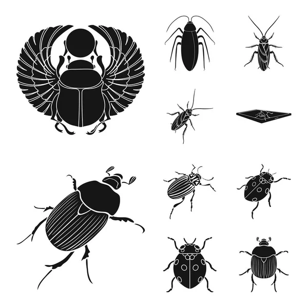 Vektorová design ikony hmyzu a brouk. Sbírku hmyzu a halloween vektorové ikony pro stock. — Stockový vektor
