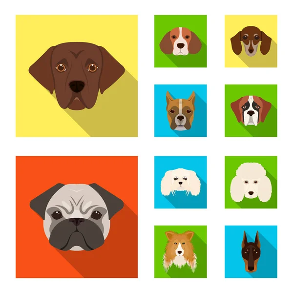 Ilustración vectorial de lindo y cachorro símbolo. Conjunto de icono de vector lindo y animal para la acción . — Vector de stock