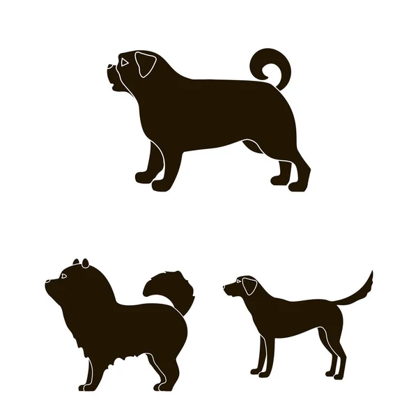 Conception vectorielle de symbole mignon et chiot. Collection d'illustration vectorielle de stock mignon et animal . — Image vectorielle