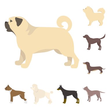 Sevimli vektör tasarımı ve köpek yavrusu simgesi. Web için şirin ve hayvan hisse senedi simgesi kümesi.