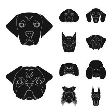 Sevimli vektör tasarımı ve köpek yavrusu logosu. Web için şirin ve hayvan hisse senedi simgesi kümesi.