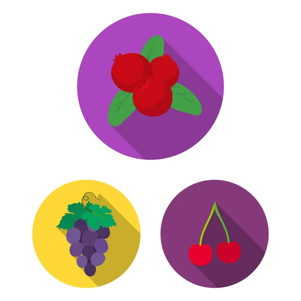 Изолированный объект ягодного и фруктового логотипа. Набор векторных иконок ягод и красных ягод на складе . — стоковый вектор