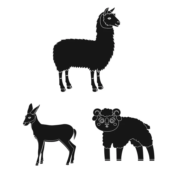 绵羊和山羊标志的矢量设计 绵羊和愉快的股票向量例证集合 — 图库矢量图片
