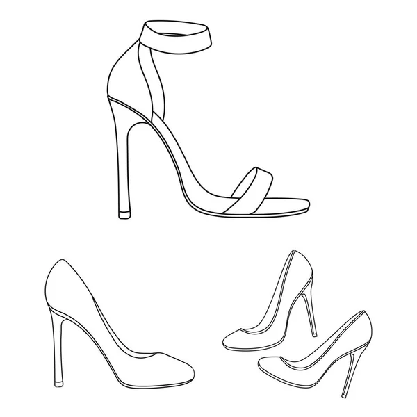 Design vettoriale del tallone e icona alta. Raccolta di illustrazione vettoriale tallone e stiletto . — Vettoriale Stock