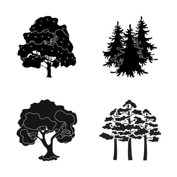 Illustration vectorielle de l'icône arbre et forêt. Jeu d'illustration vectorielle arbre et bouillon vert . — Image vectorielle