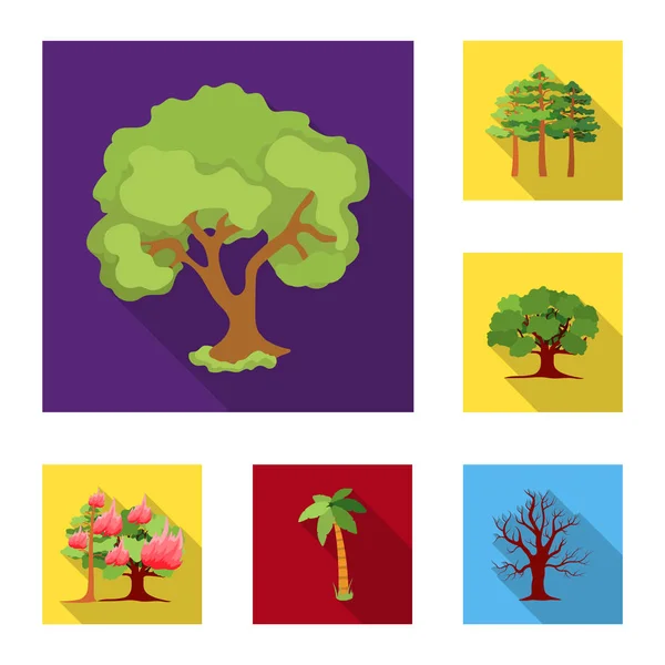 Objeto aislado del logotipo del árbol y del bosque. Colección de árbol y verde símbolo de stock para la web . — Vector de stock