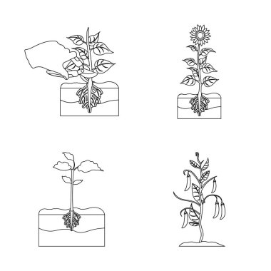 Bitki ve fasulye simge vektör Illustration. Bitki ve işlem hisse senedi vektör çizim seti.