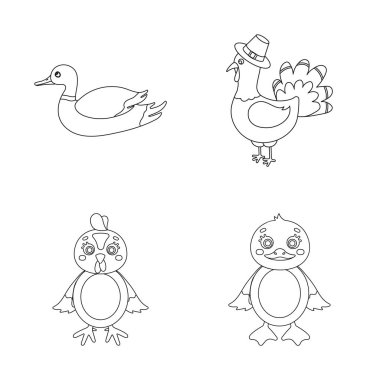 Komik ve kümes hayvanları logo vektör tasarımı. Komik ve tarım hisse senedi simgesi web için set.